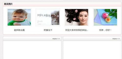 用wordpress建的網(wǎng)站,安了一個(gè)cms主題,請(qǐng)問網(wǎng)站寫著more的空白方塊的地方,要怎么填充內(nèi)容,求高手解答